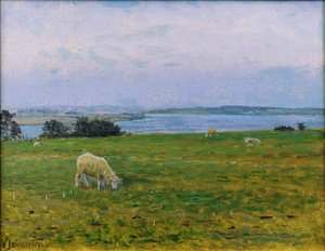 Ovelha pastando, Osterby, Skagen